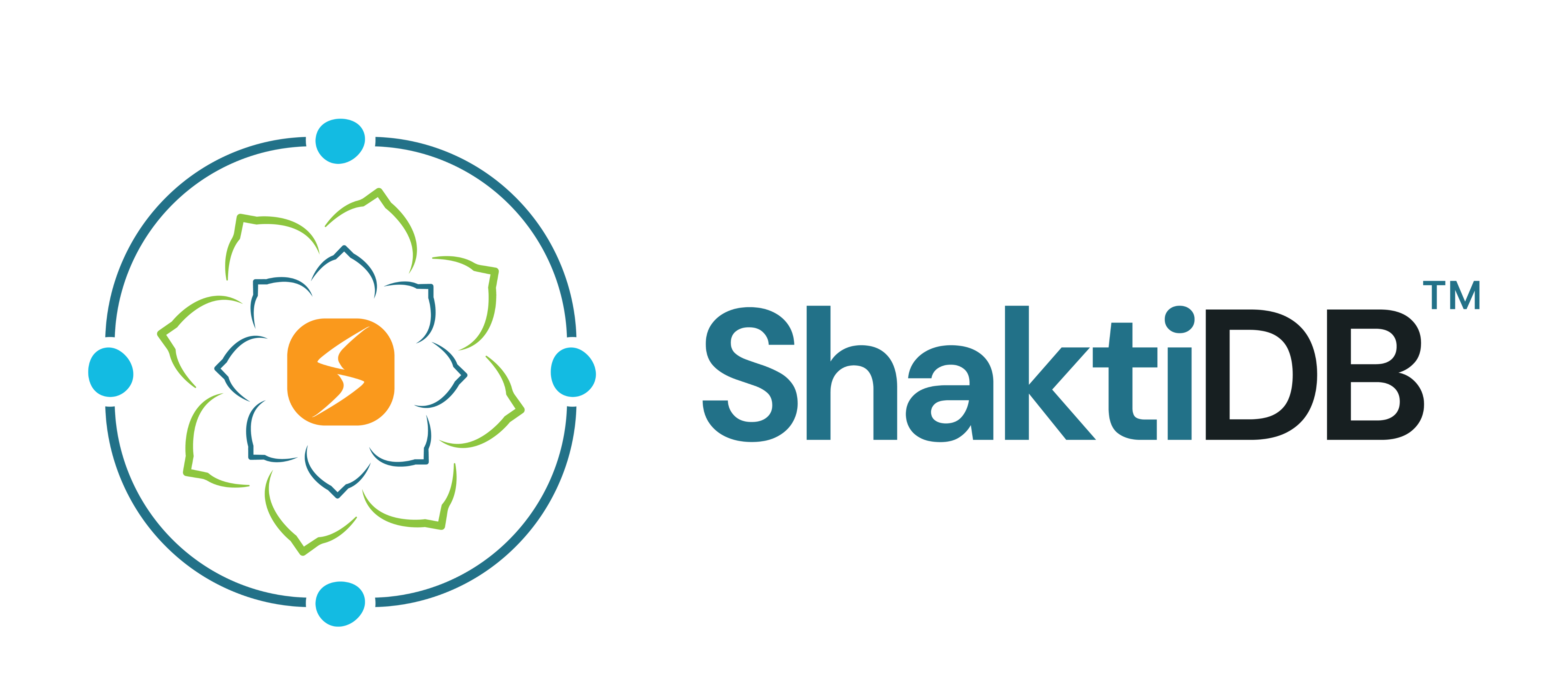 ShaktiDB Logo